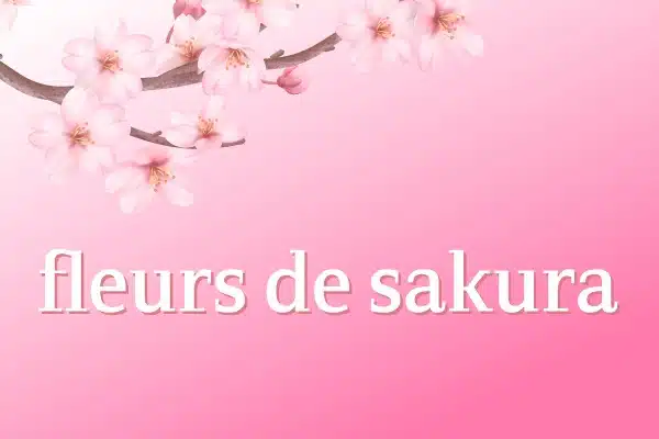 Fleurs de Sakura