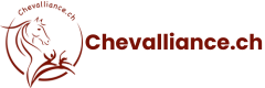 Chevalliance - Claudio D'Alessio
