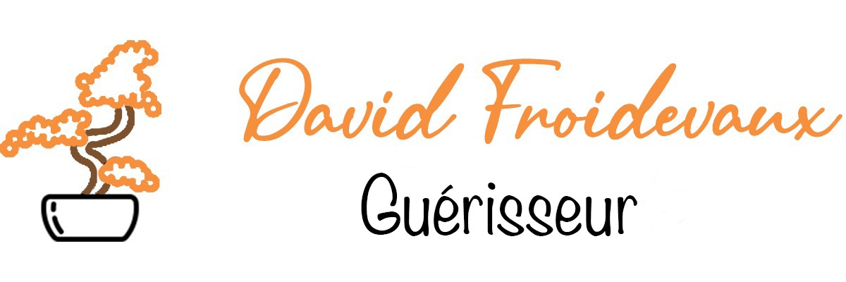 David Froidevaux - Guérisseur