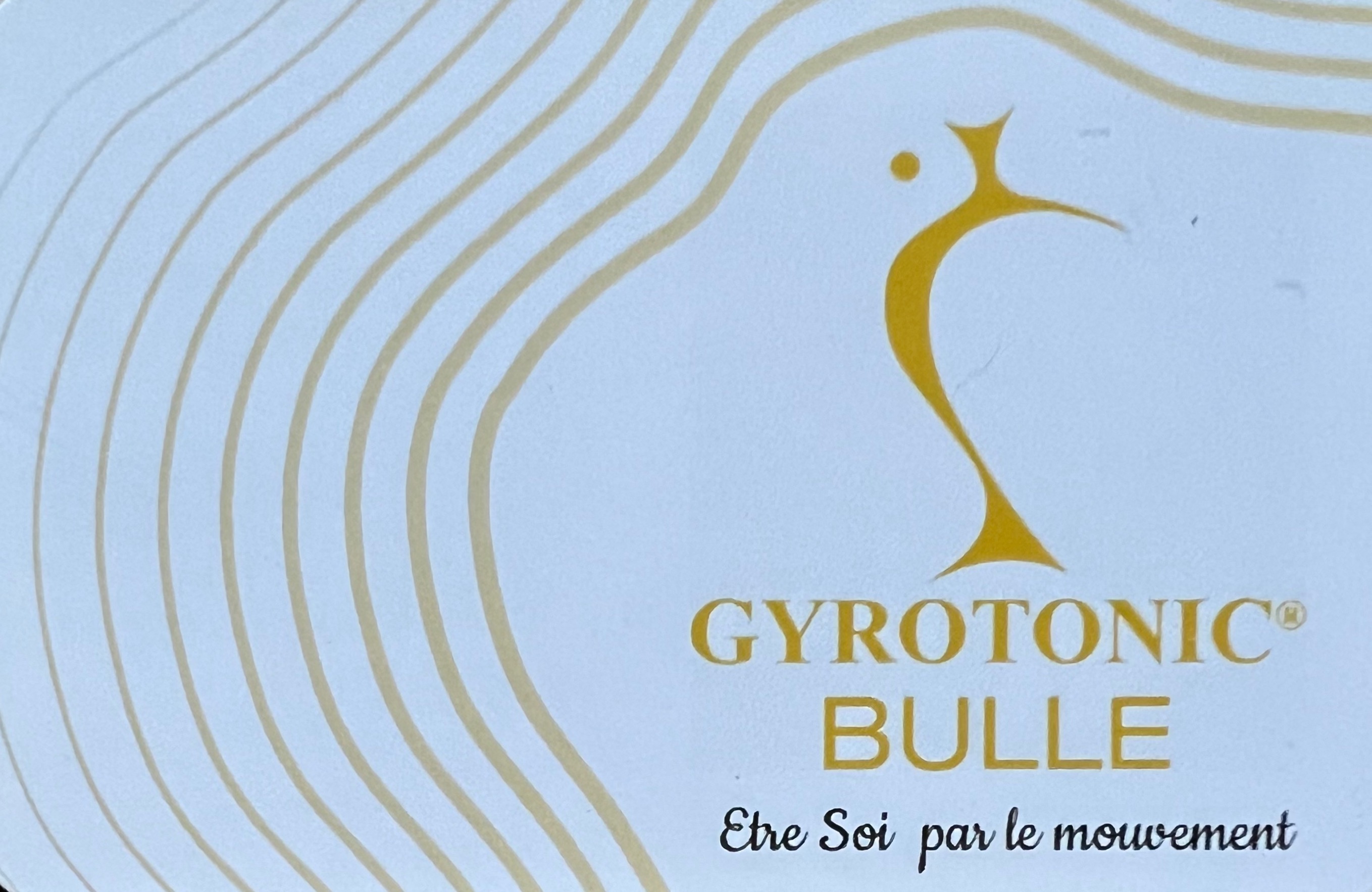 GYROTONIC® BULLE- Florence Petitti